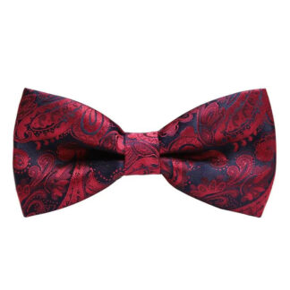 Men’s Classic Paisley Pattern Bow Tie